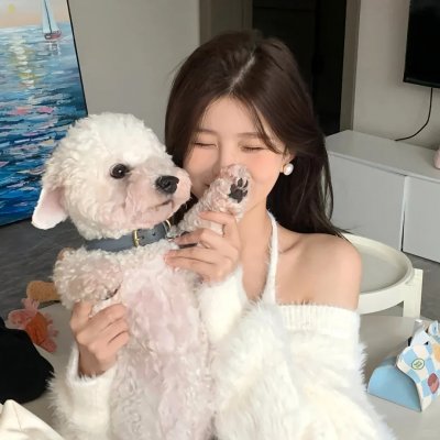 双生赤狐